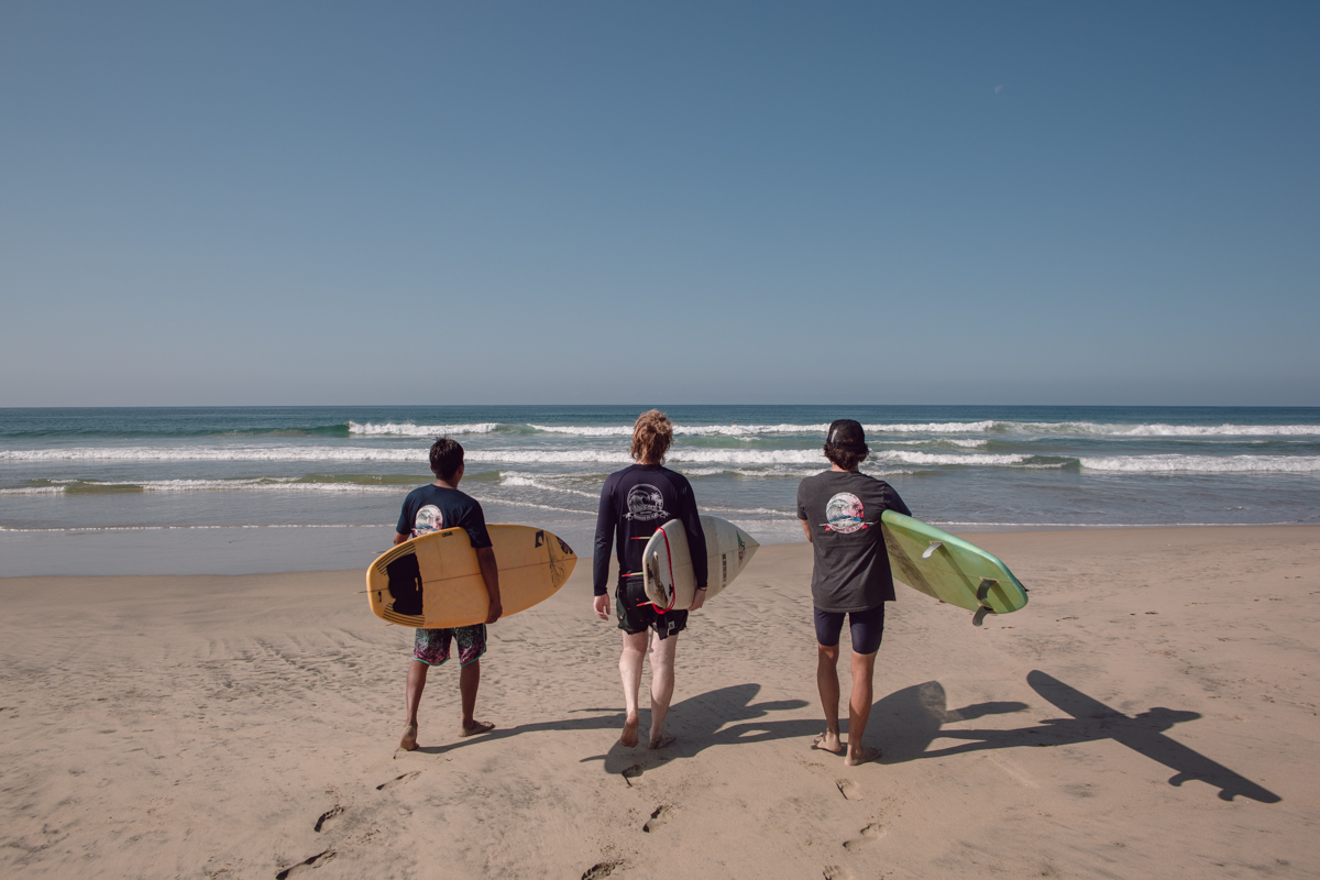 Actividades — sesión editorial